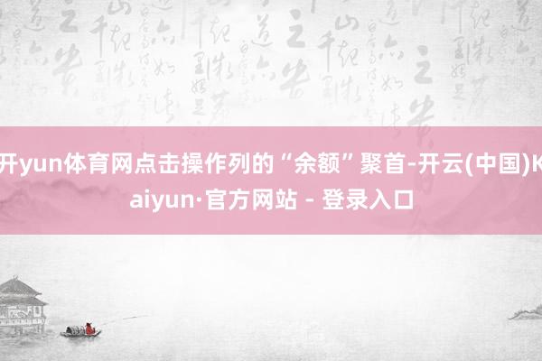 开yun体育网点击操作列的“余额”聚首-开云(中国)Kaiyun·官方网站 - 登录入口